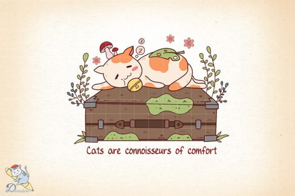 Cat Are Connoisseurs of Comfort: A Strategic Asset for Digital Creators
